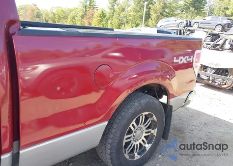 2009 Ford F-150 Fx4/King Ranch/Lariat/Platinum/Xl/Xlt from USA, damaged, VIN 1FTPW14V89FA10892